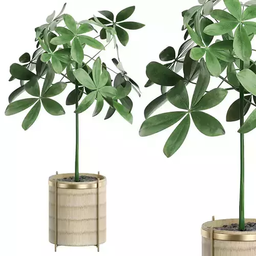 Flower Pack 23 3D model