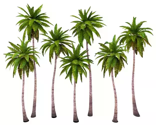 Palms low poly set 1 five palm trees Low-poly 3D model