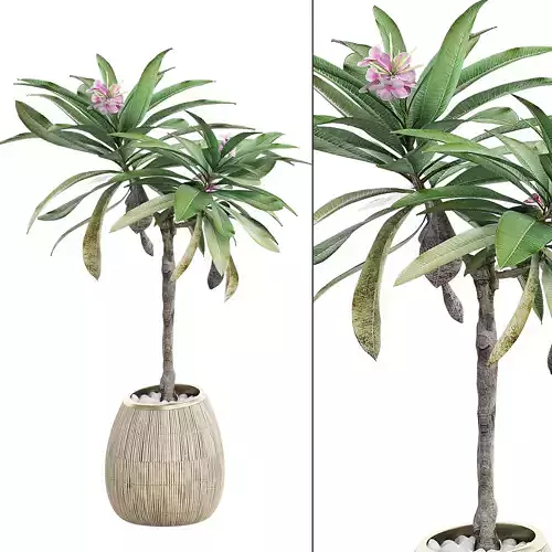 Flower Pack 27 3D model