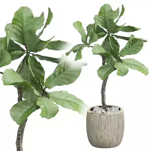 Flower Pack 28 3D model