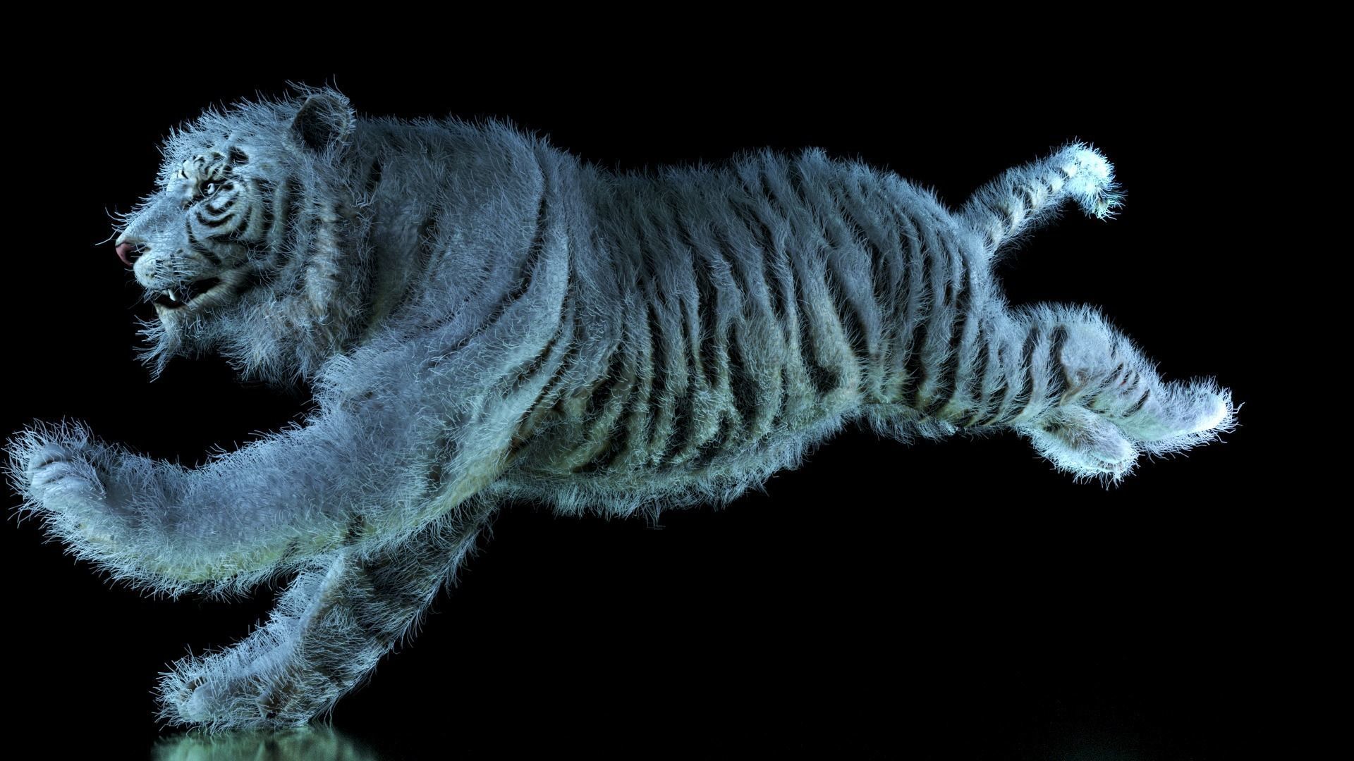 Raja The White Bengal Tiger 3D Model 3D model_56