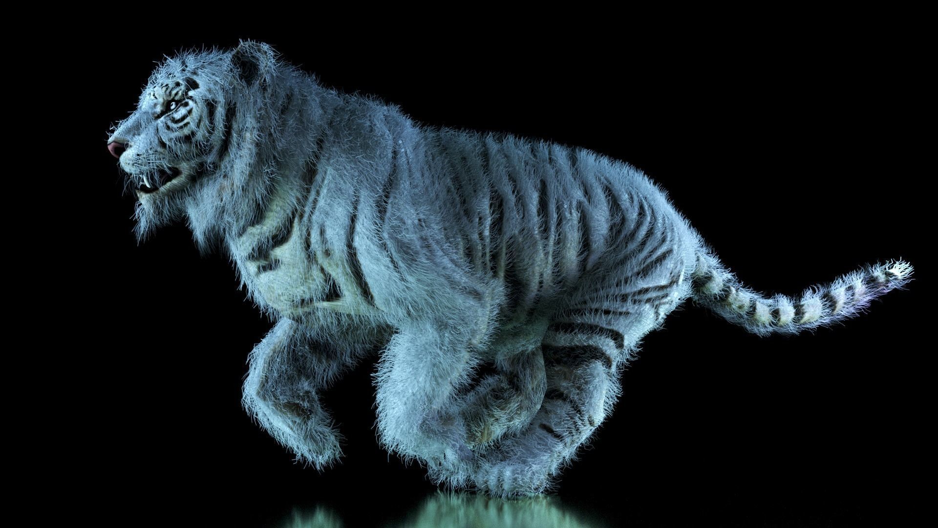 Raja The White Bengal Tiger 3D Model 3D model_48