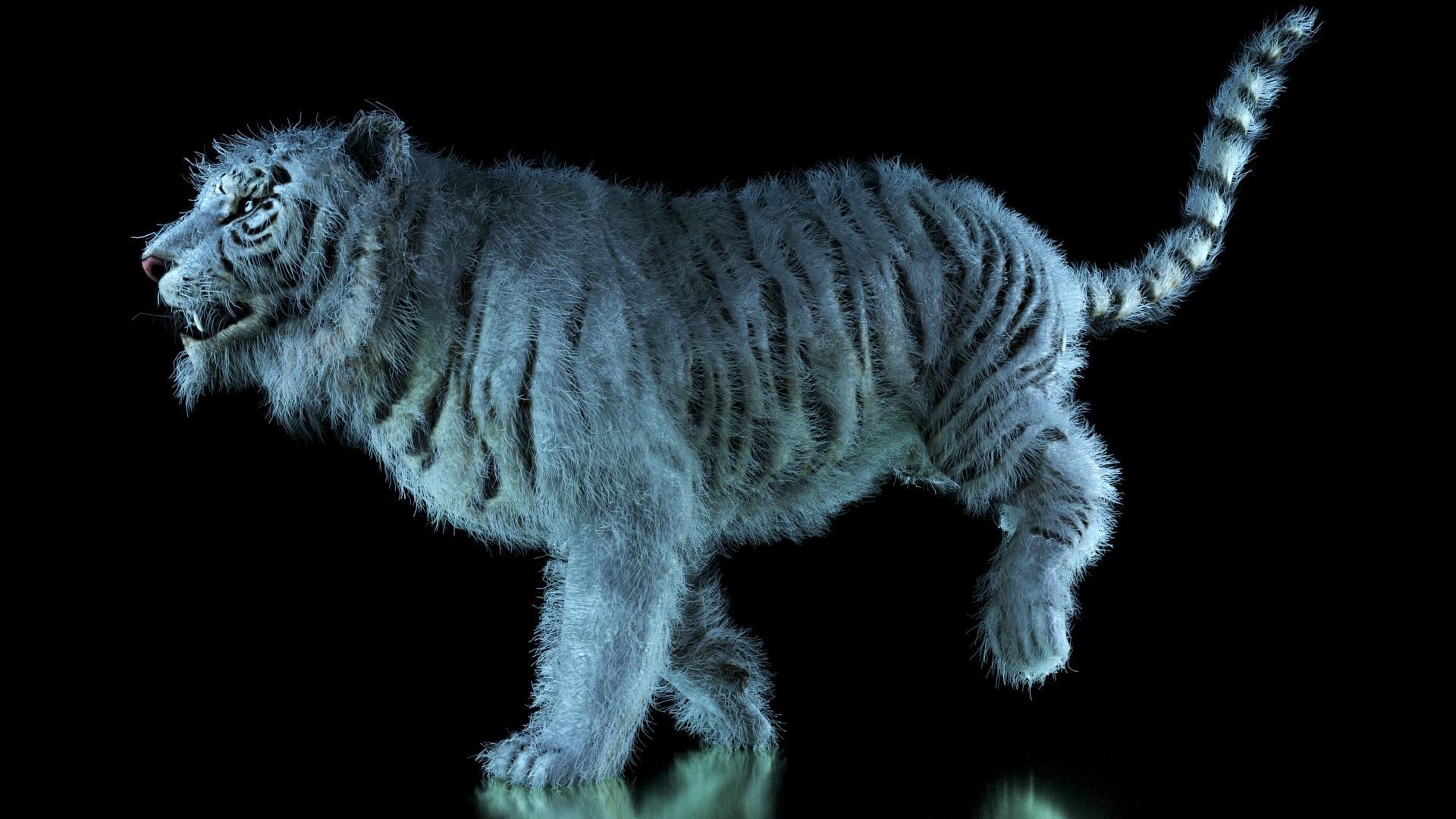 Raja The White Bengal Tiger 3D Model 3D model_60