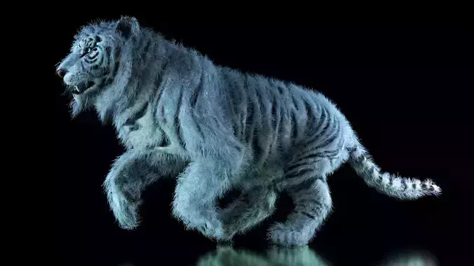 Raja The White Bengal Tiger 3D Model