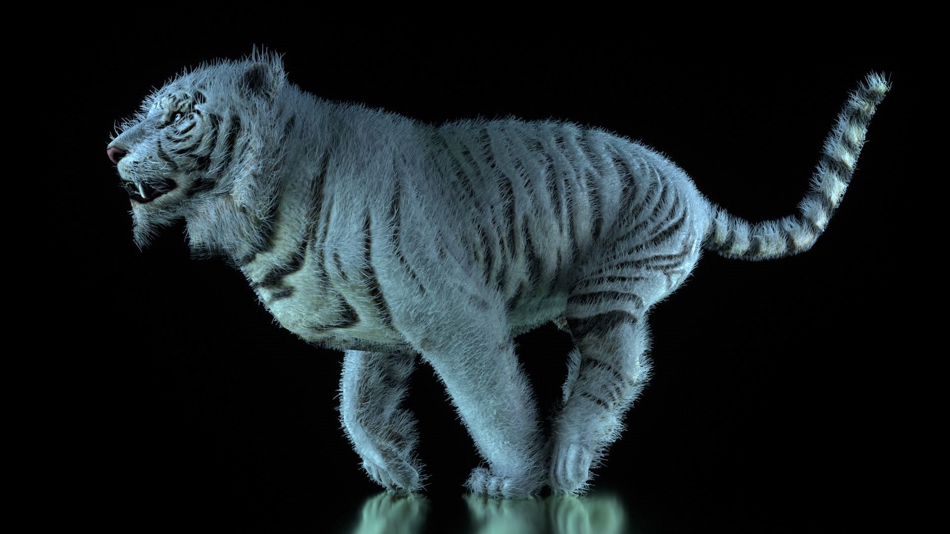 Raja The White Bengal Tiger 3D Model 3D model_10