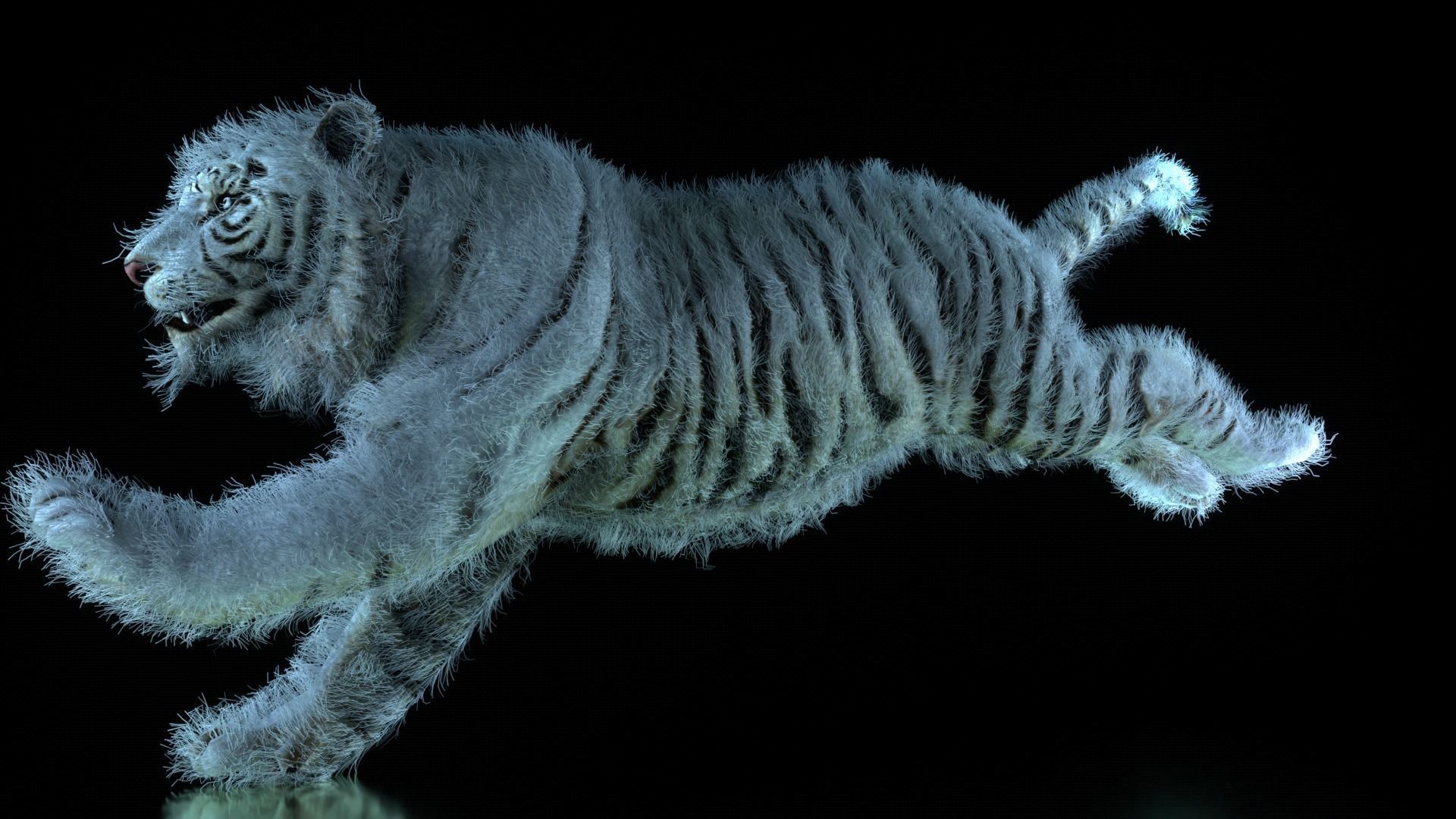 Raja The White Bengal Tiger 3D Model 3D model_20