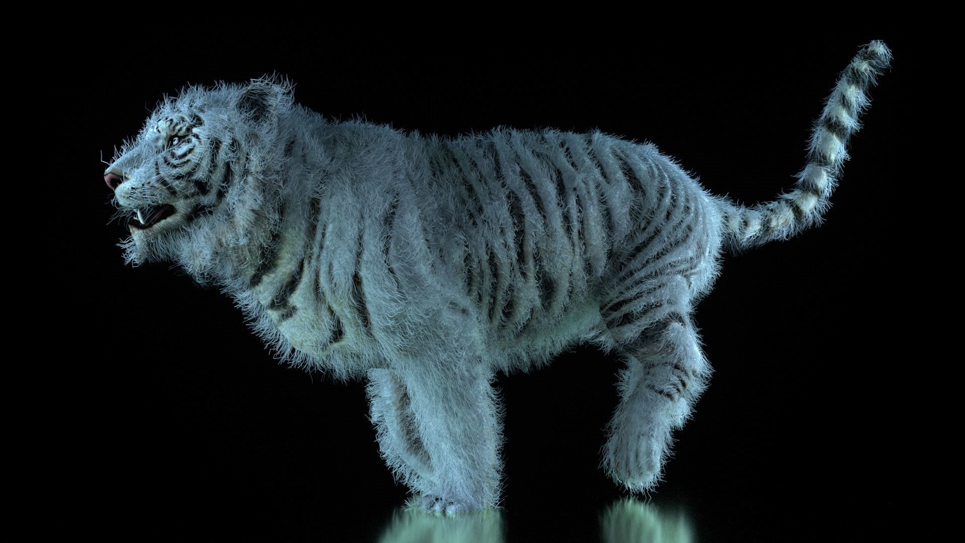 Raja The White Bengal Tiger 3D Model 3D model_45