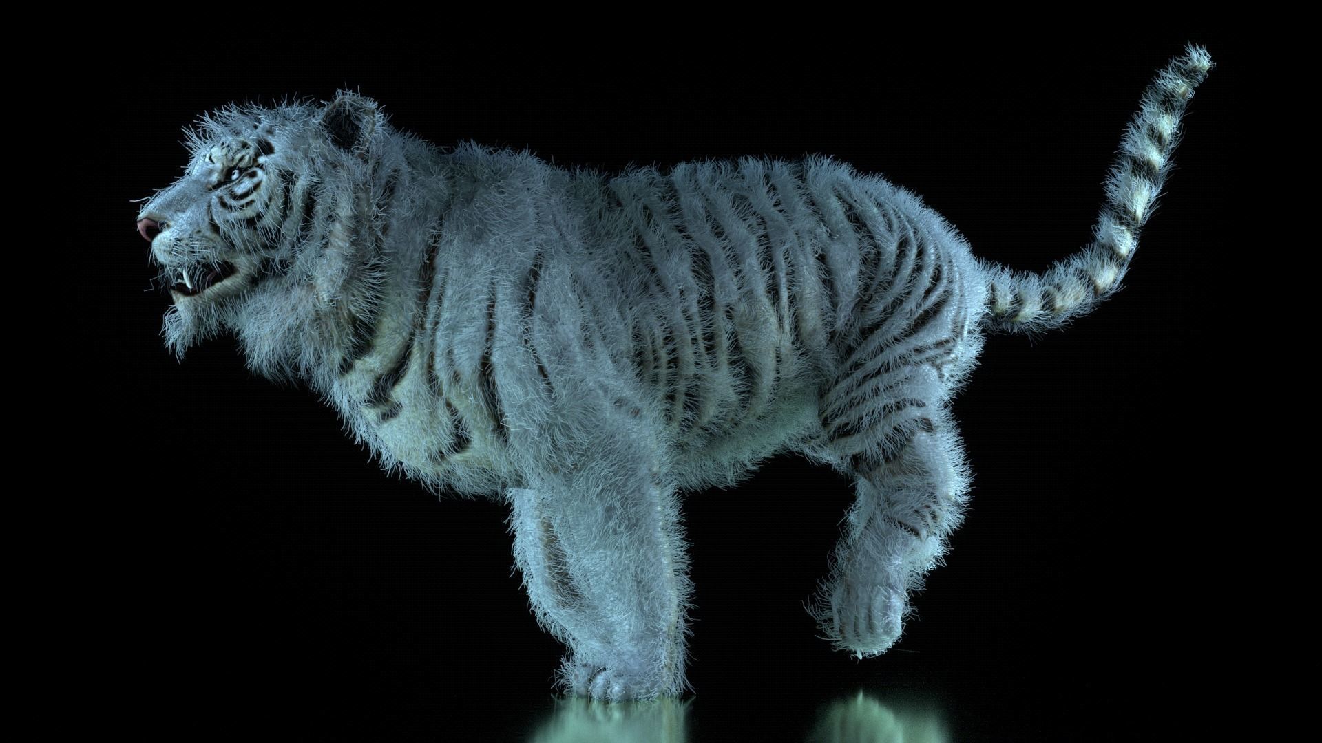 Raja The White Bengal Tiger 3D Model 3D model_43