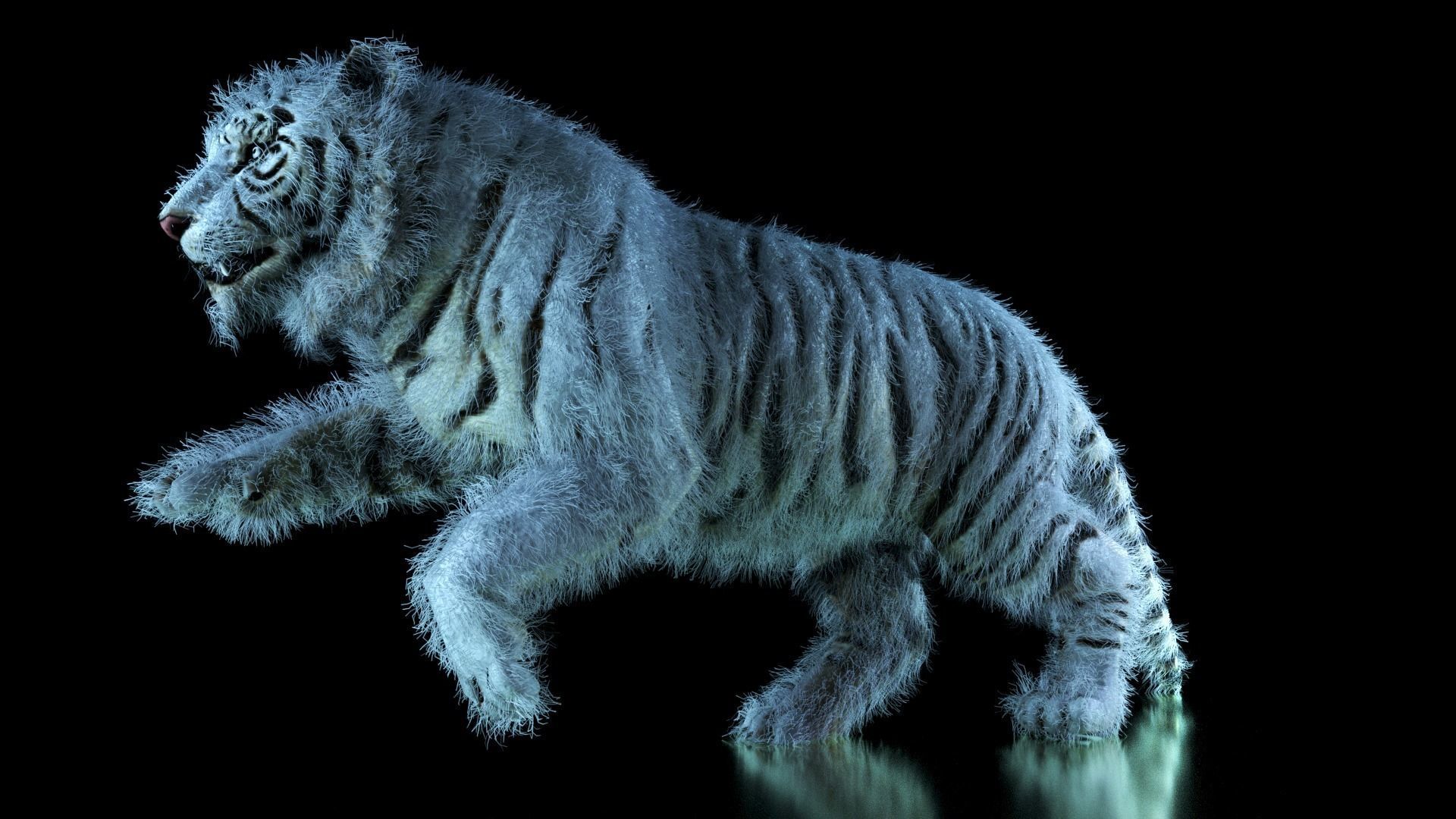 Raja The White Bengal Tiger 3D Model 3D model_51