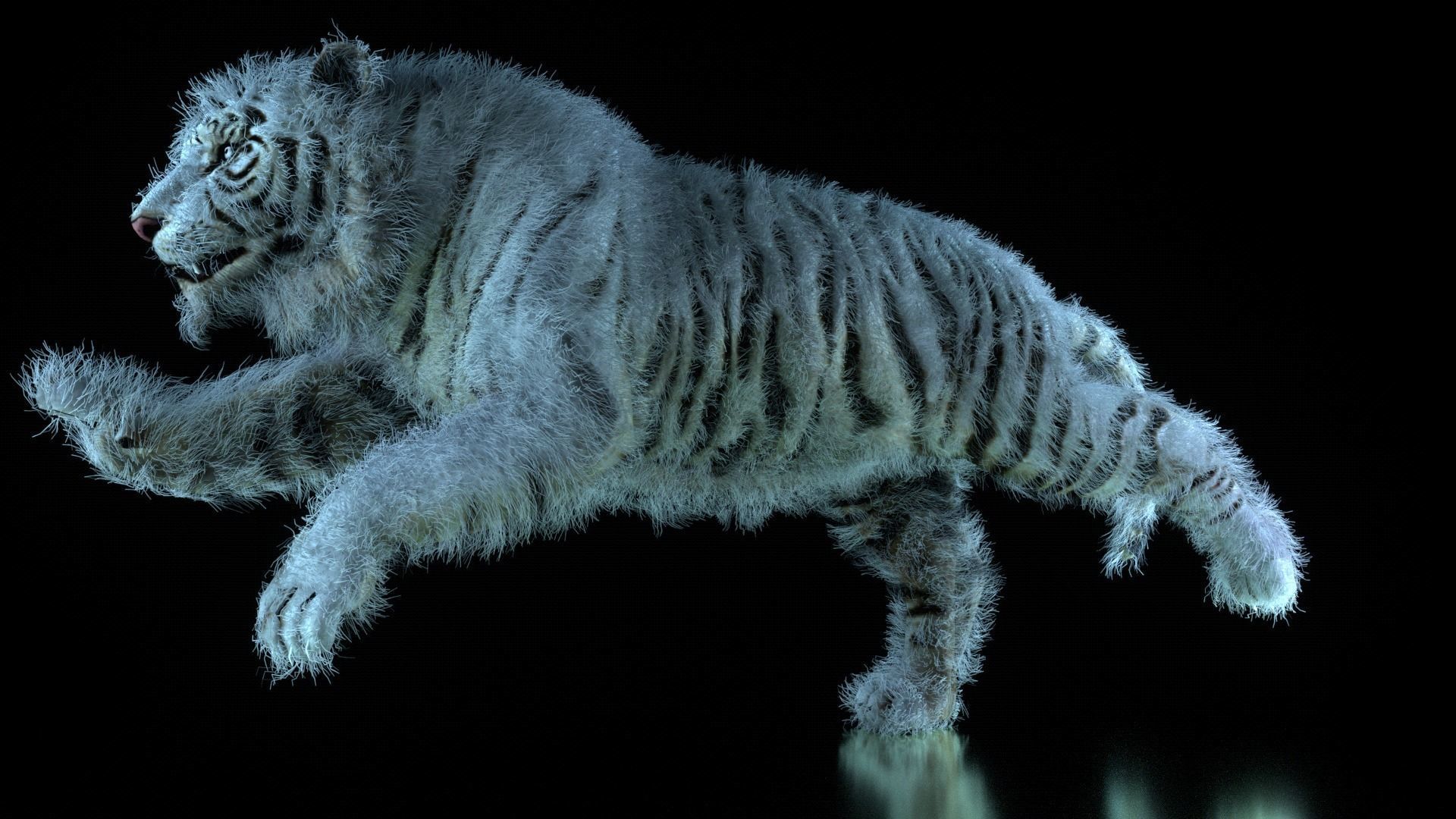 Raja The White Bengal Tiger 3D Model 3D model_35