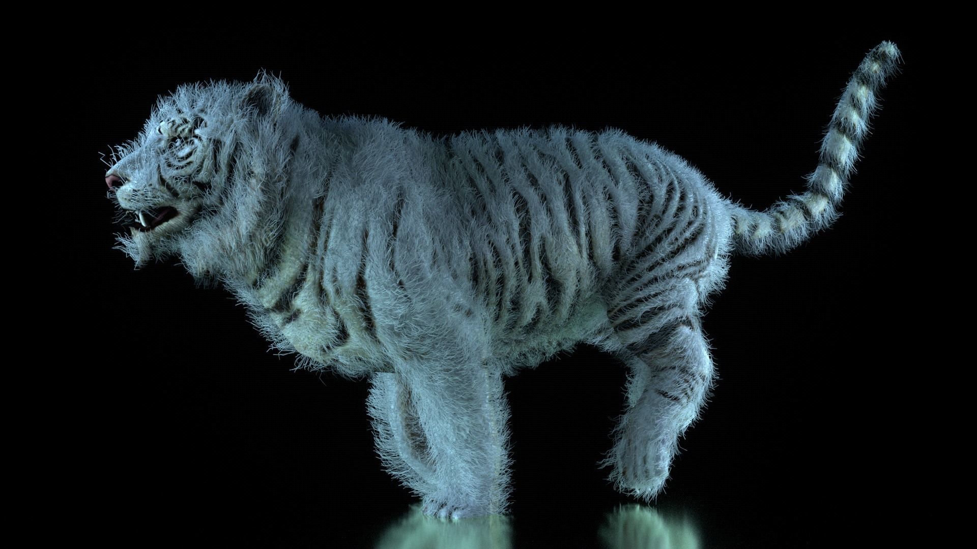 Raja The White Bengal Tiger 3D Model 3D model_44
