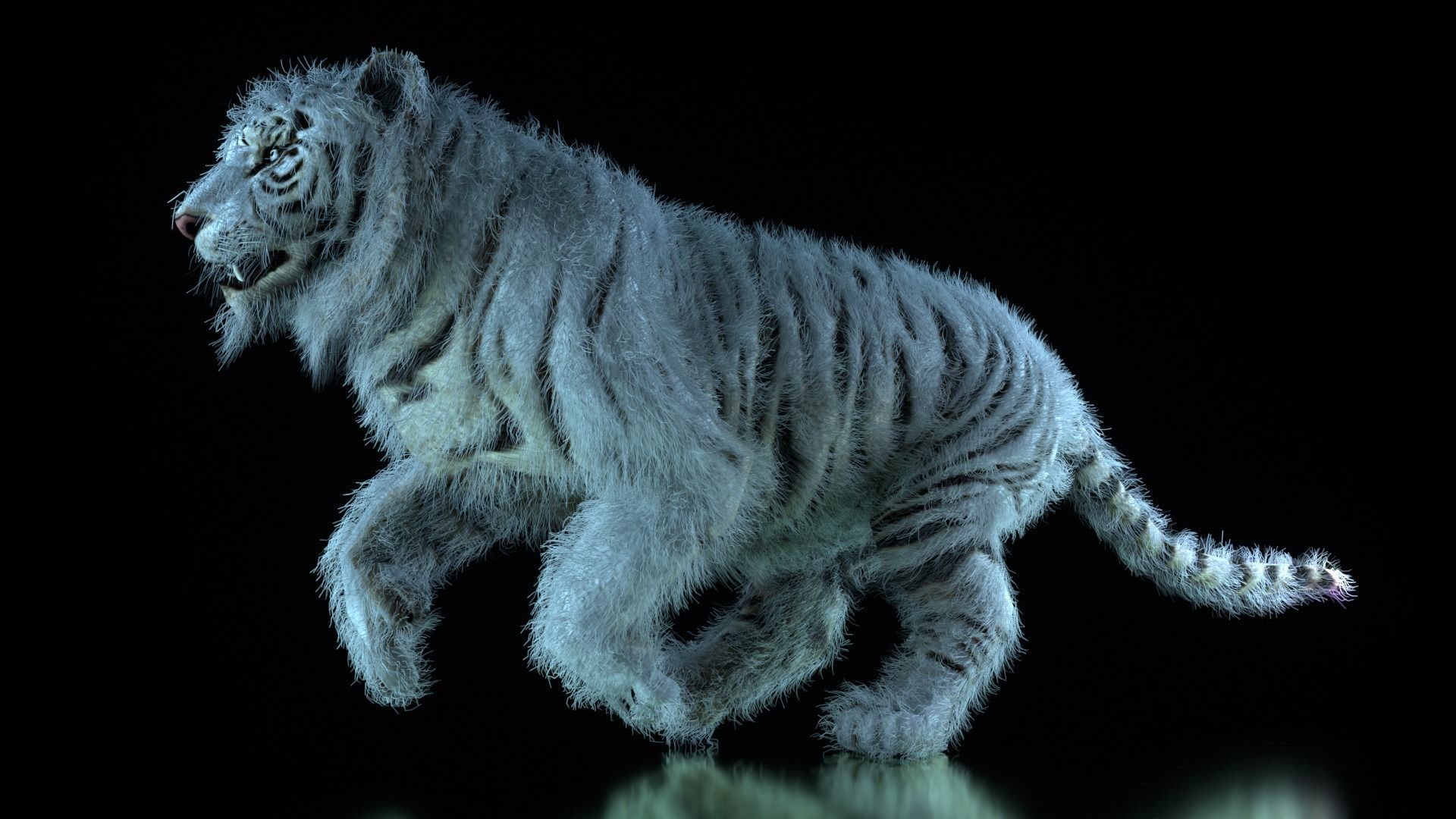 Raja The White Bengal Tiger 3D Model 3D model_13