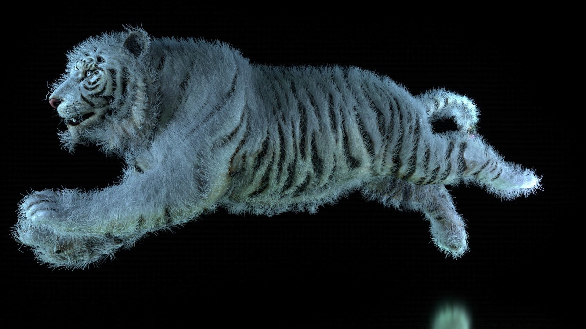 Raja The White Bengal Tiger 3D Model 3D model_19