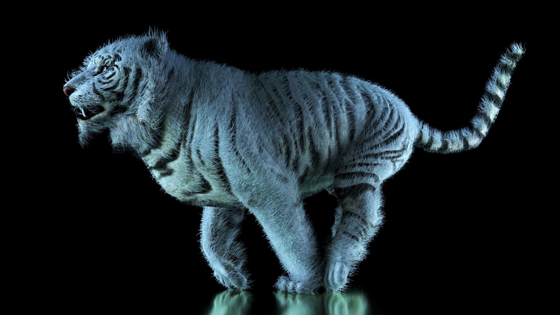 Raja The White Bengal Tiger 3D Model 3D model_46