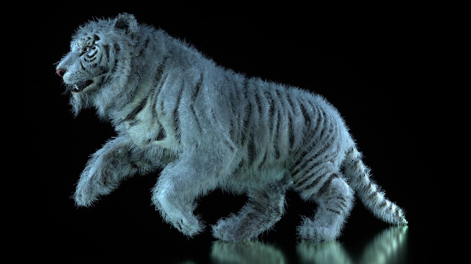 Raja The White Bengal Tiger 3D Model 3D model_14