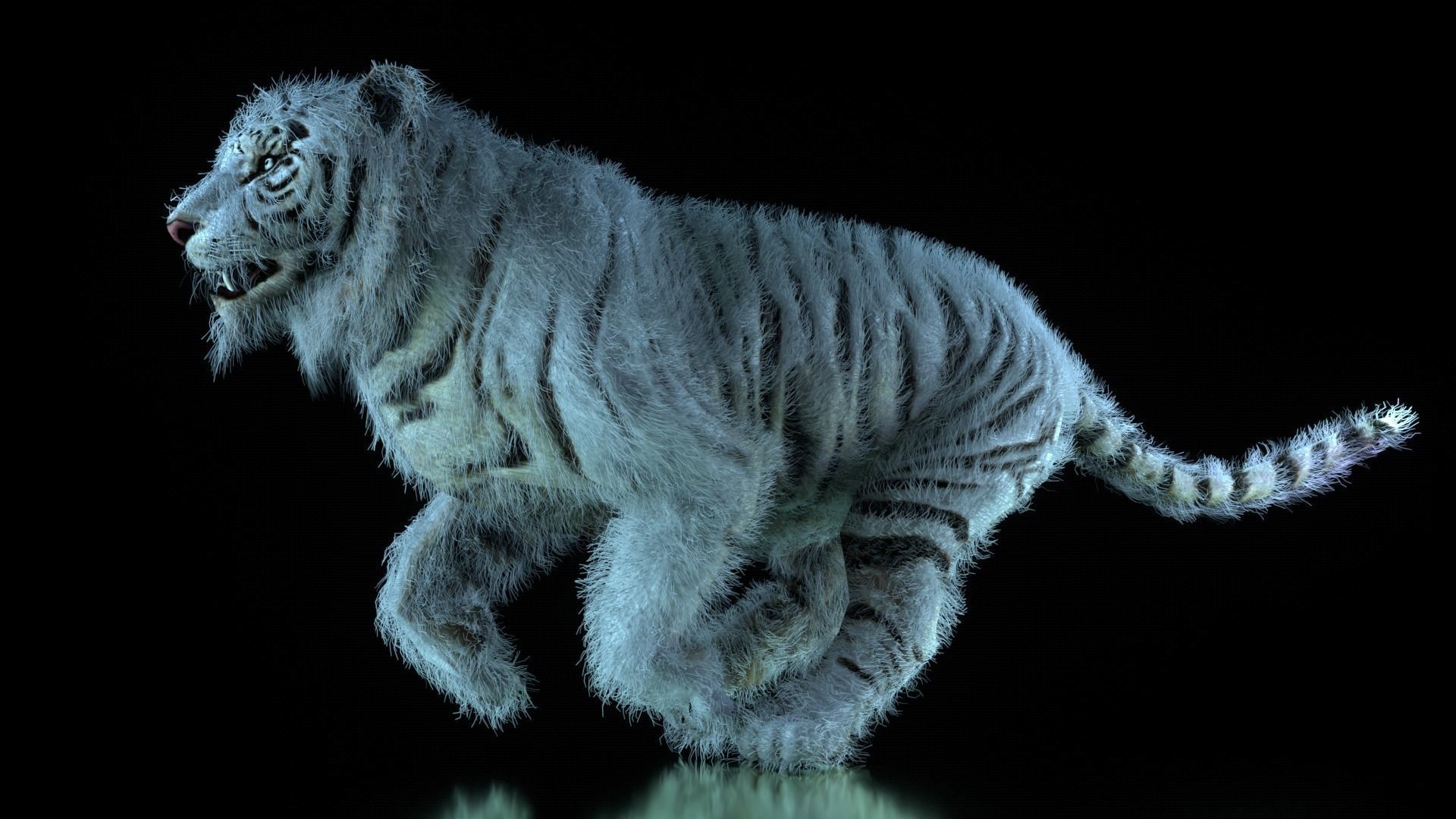 Raja The White Bengal Tiger 3D Model 3D model_12