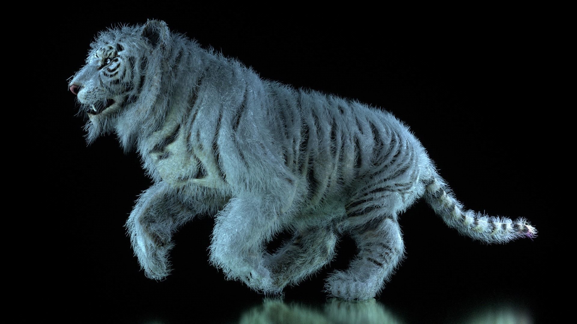 Raja The White Bengal Tiger 3D Model 3D model_31