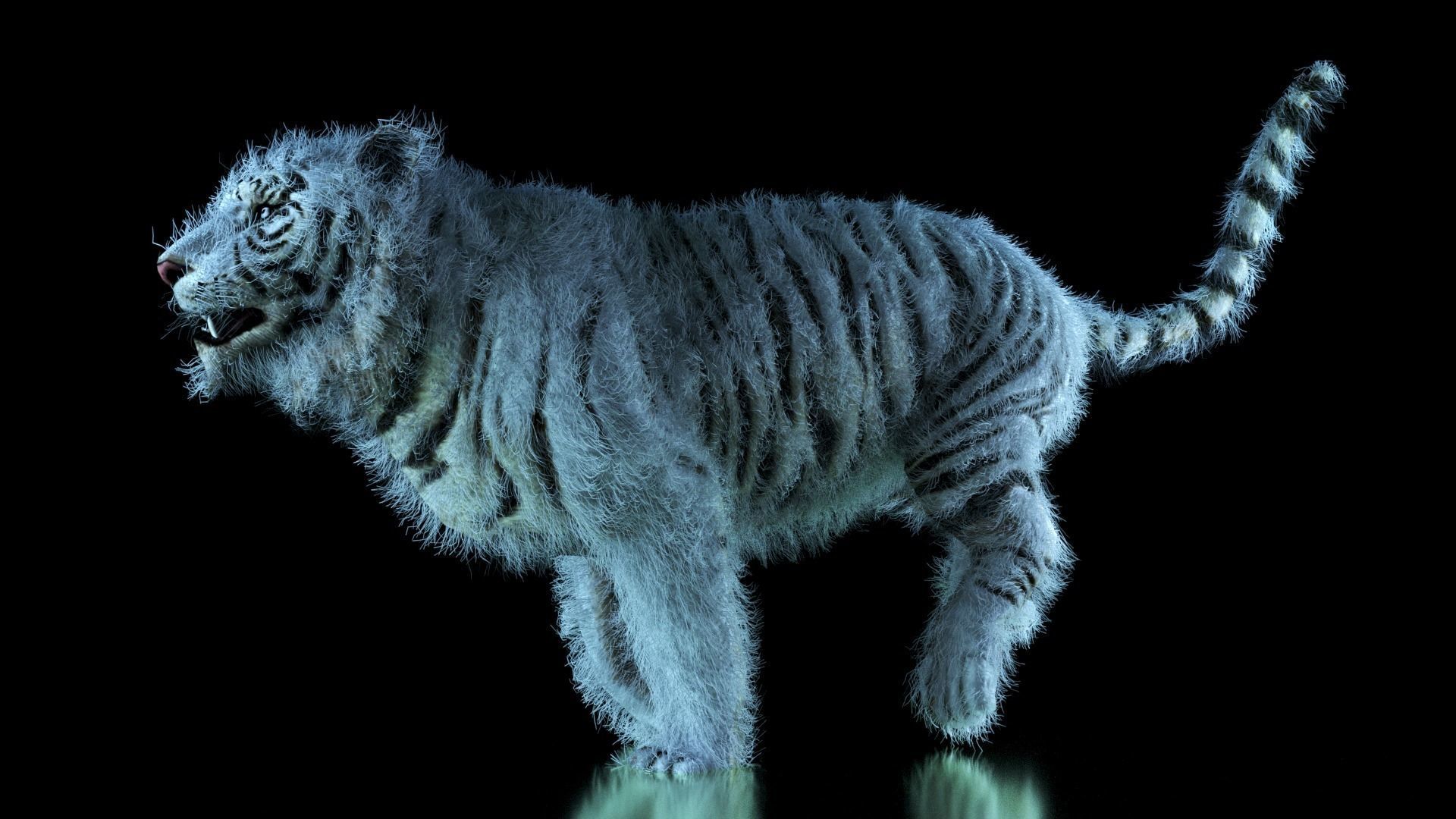 Raja The White Bengal Tiger 3D Model 3D model_63