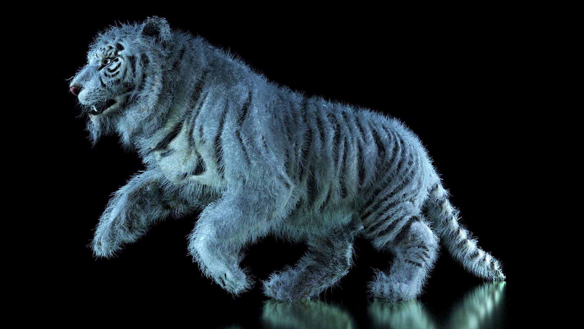 Raja The White Bengal Tiger 3D Model 3D model_50
