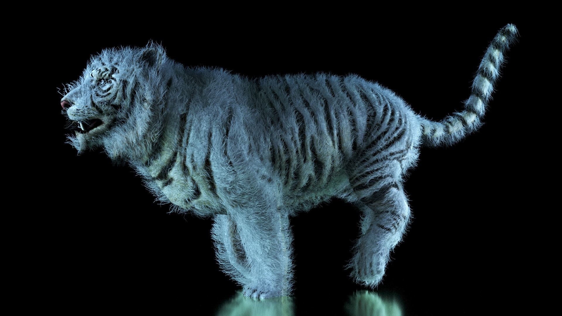 Raja The White Bengal Tiger 3D Model 3D model_62
