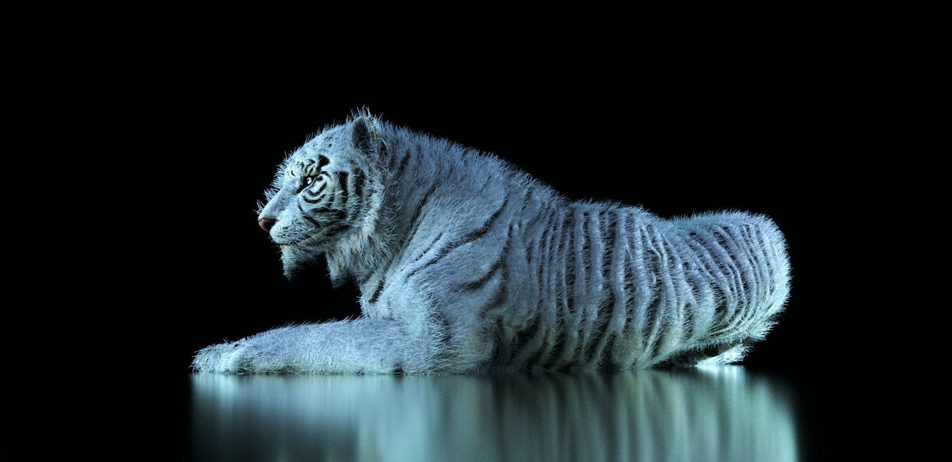 Raja The White Bengal Tiger 3D Model 3D model_2