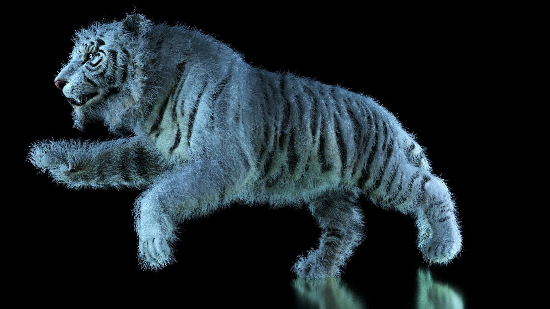 Raja The White Bengal Tiger 3D Model 3D model_52