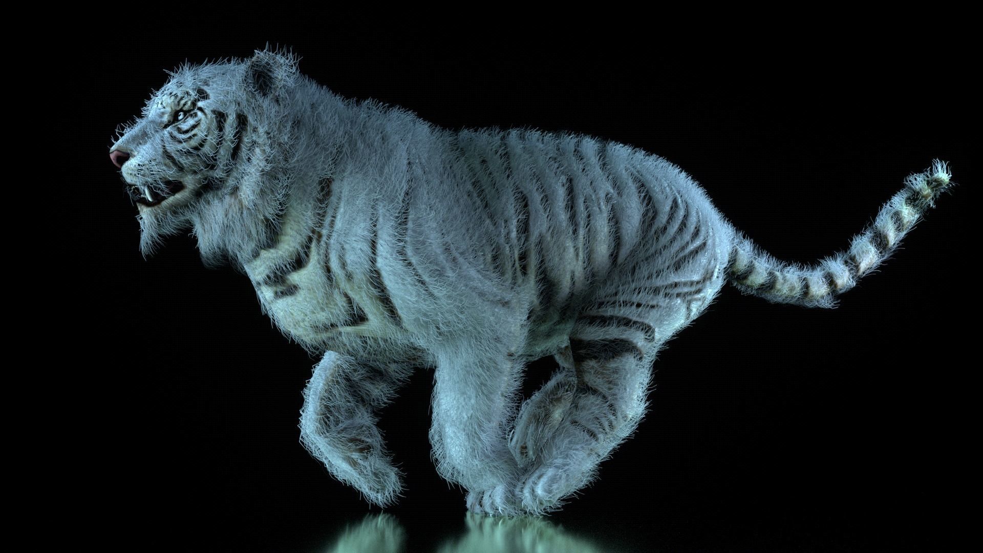 Raja The White Bengal Tiger 3D Model 3D model_29