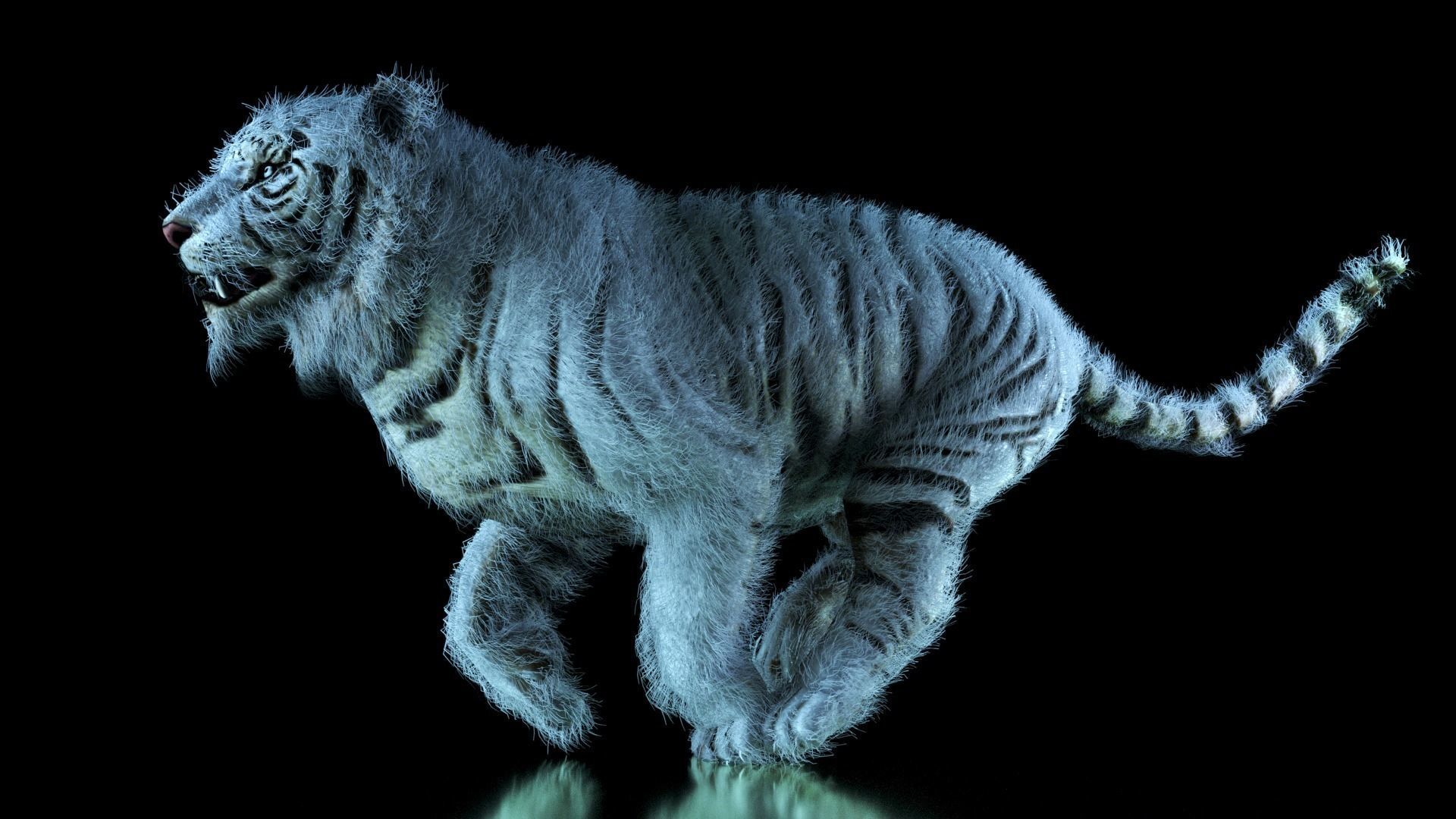 Raja The White Bengal Tiger 3D Model 3D model_47