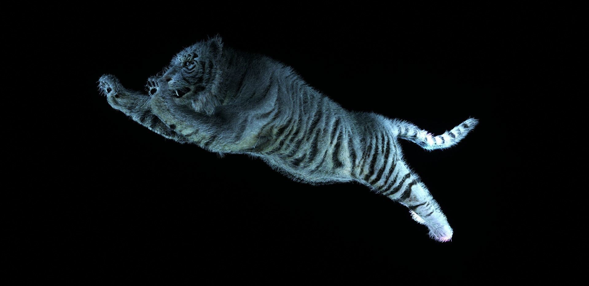 Raja The White Bengal Tiger 3D Model 3D model_7