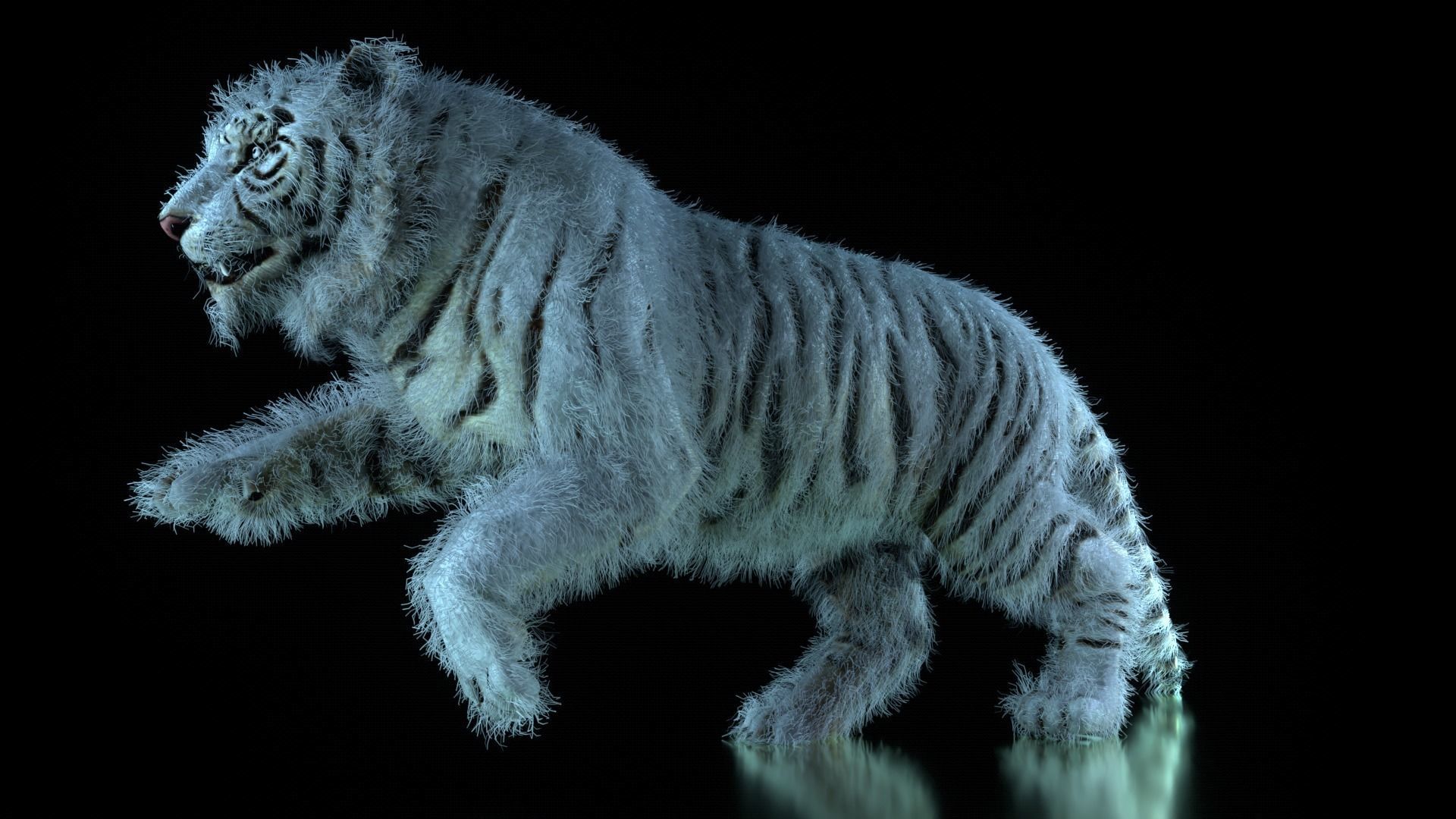 Raja The White Bengal Tiger 3D Model 3D model_15