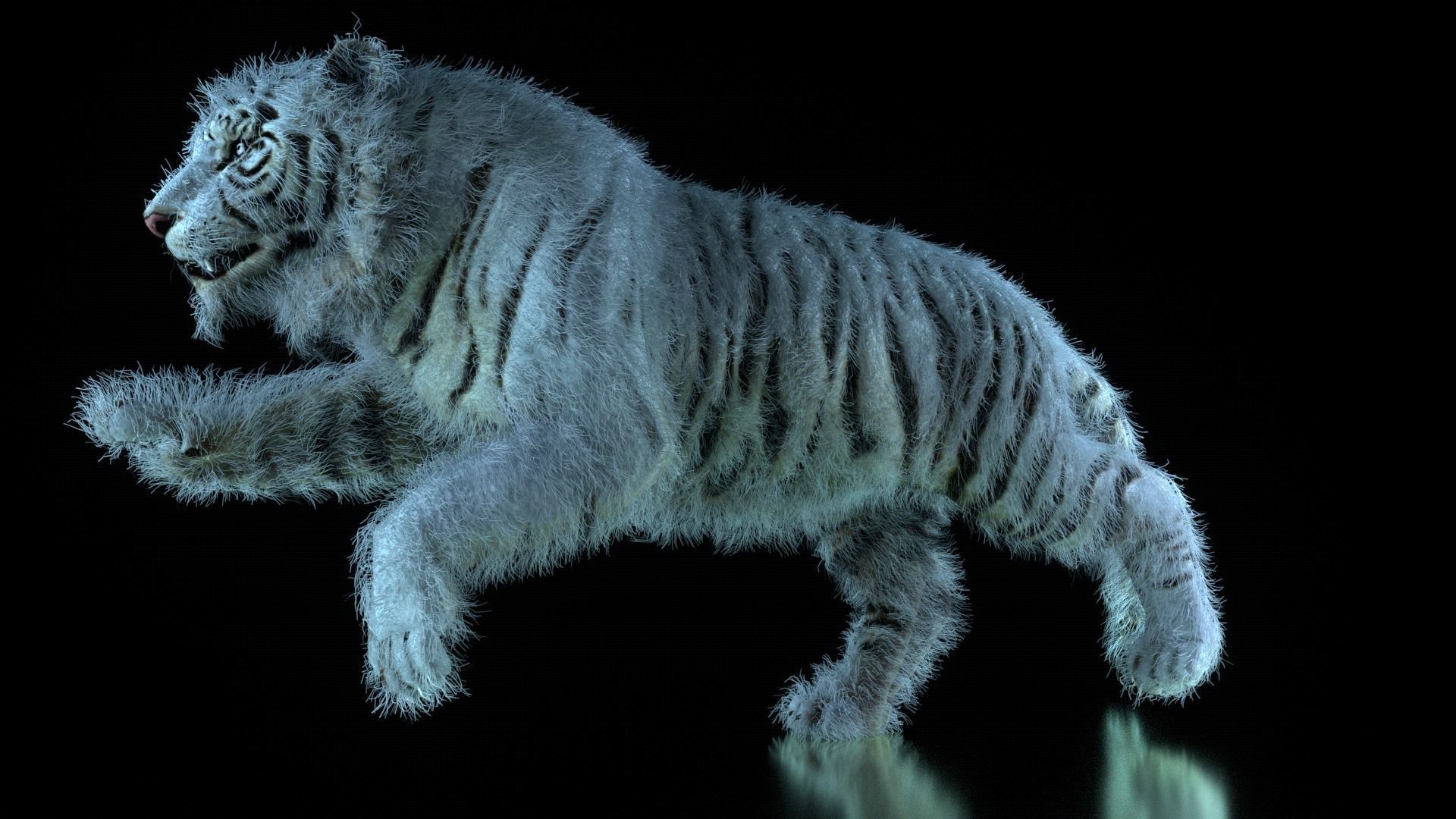 Raja The White Bengal Tiger 3D Model 3D model_34