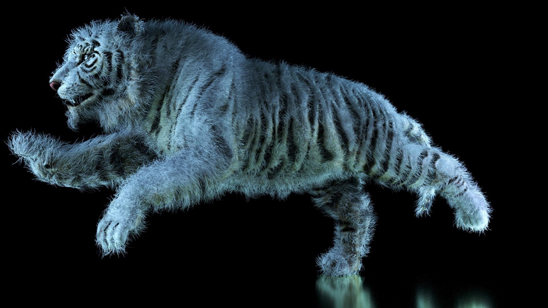 Raja The White Bengal Tiger 3D Model 3D model_53