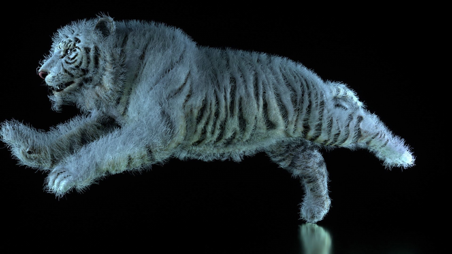 Raja The White Bengal Tiger 3D Model 3D model_18