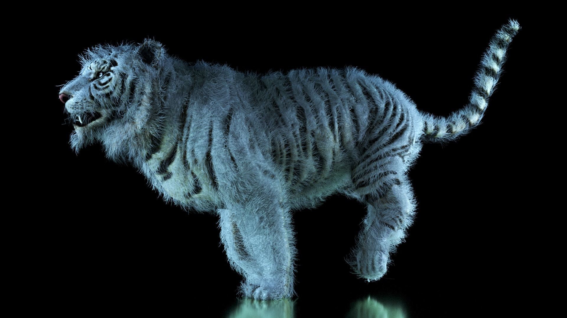 Raja The White Bengal Tiger 3D Model 3D model_61