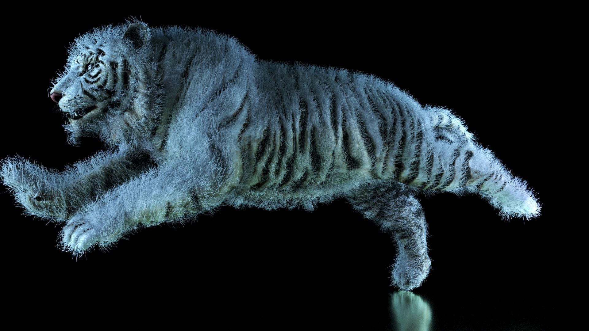 Raja The White Bengal Tiger 3D Model 3D model_54
