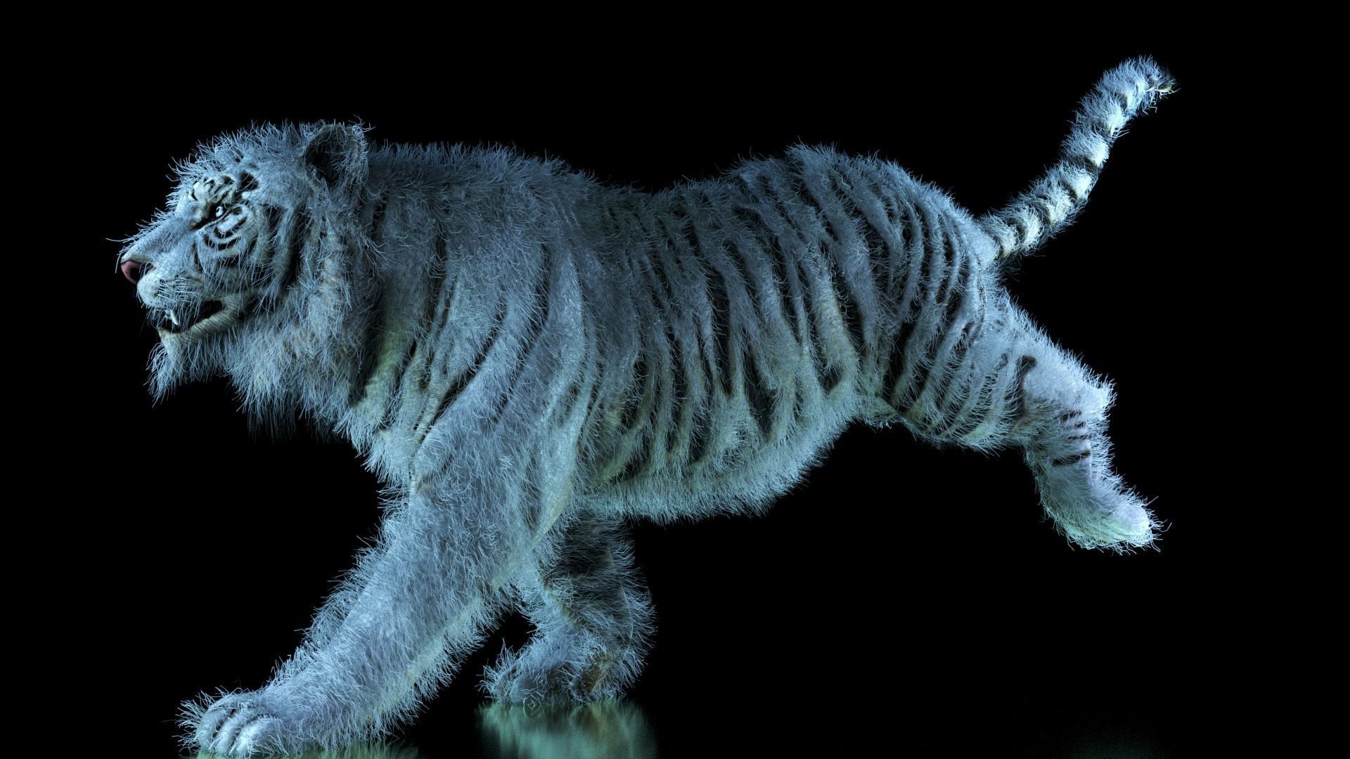 Raja The White Bengal Tiger 3D Model 3D model_58