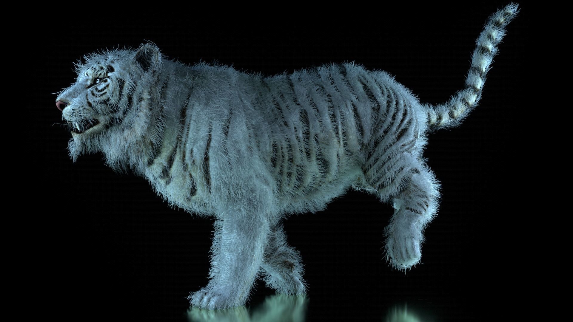 Raja The White Bengal Tiger 3D Model 3D model_24
