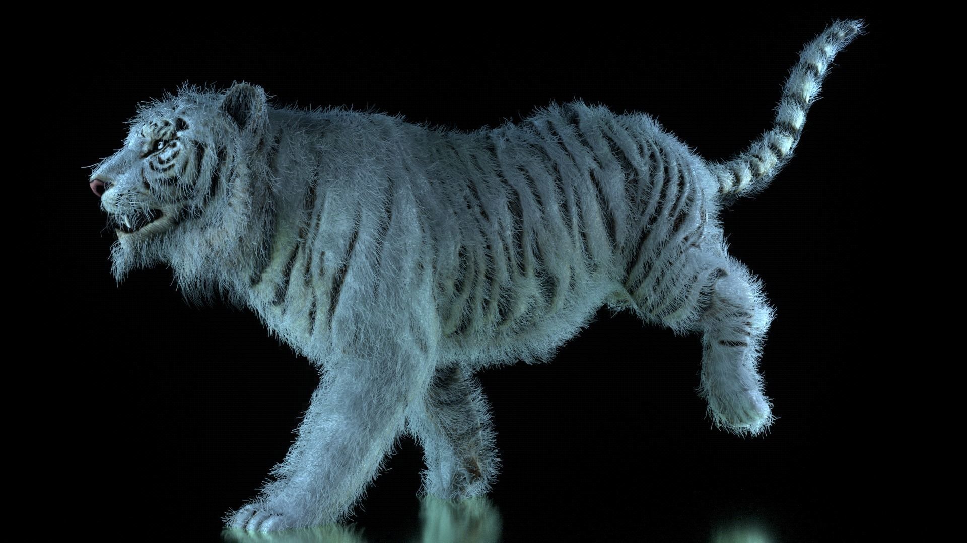 Raja The White Bengal Tiger 3D Model 3D model_41