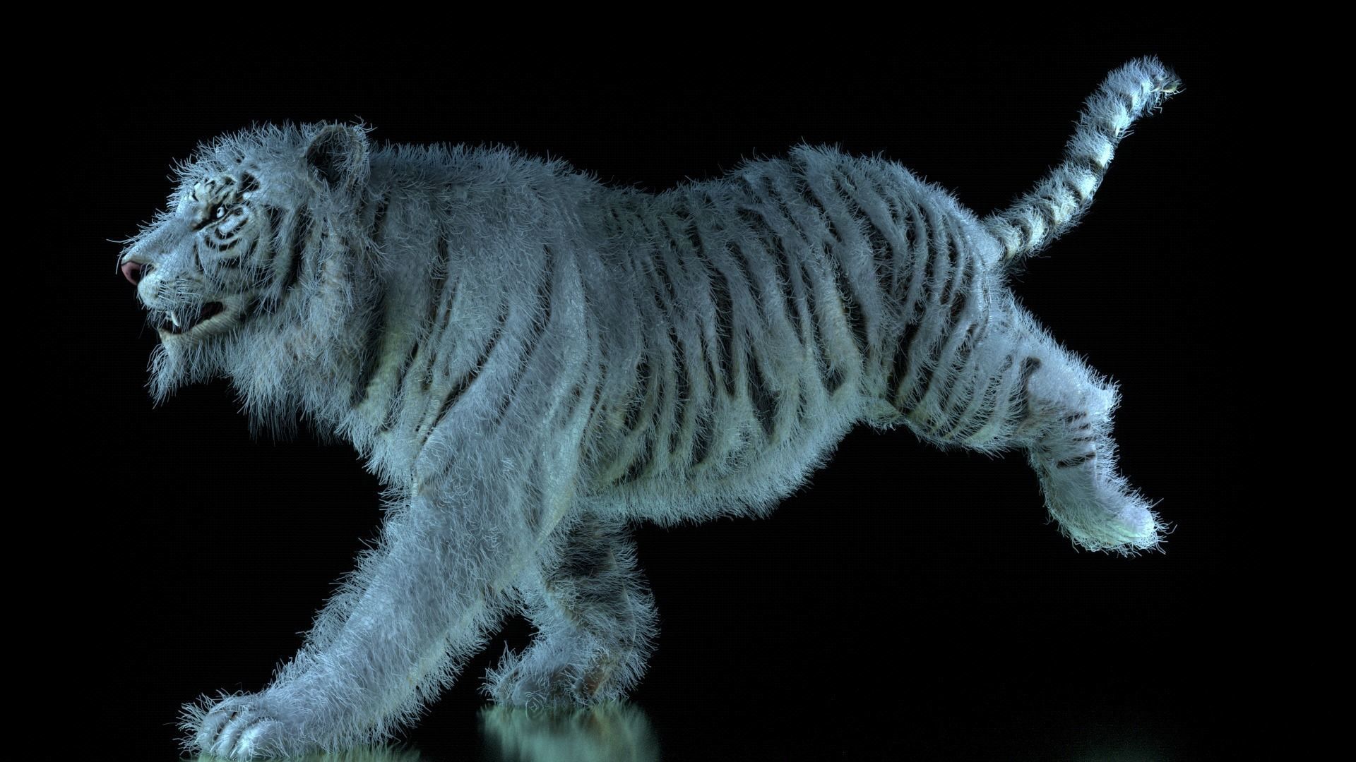 Raja The White Bengal Tiger 3D Model 3D model_40