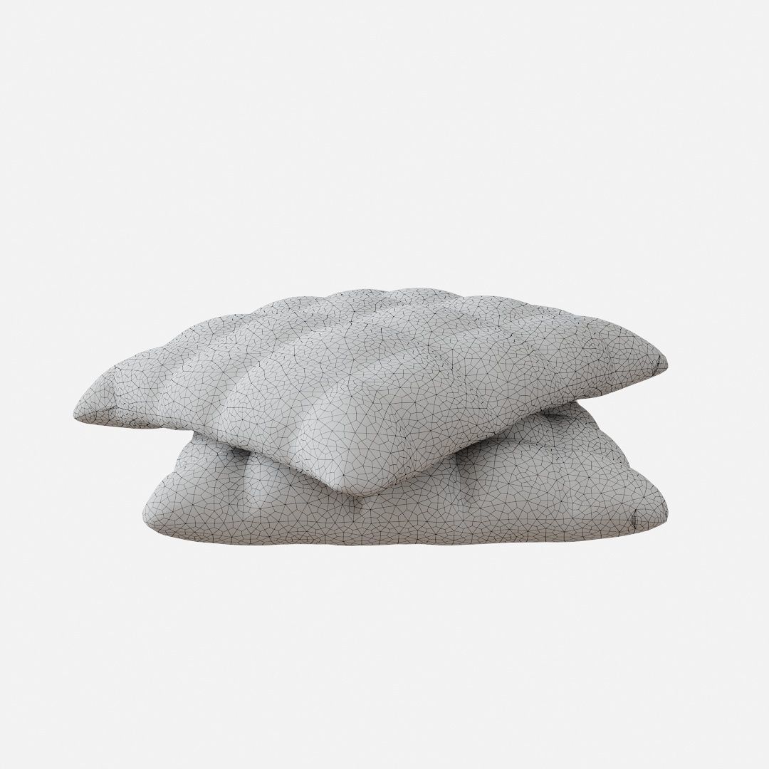Decoration Set velvet cushion 3D model_21
