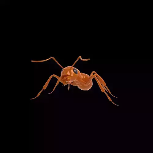 Ant Rig 3D model