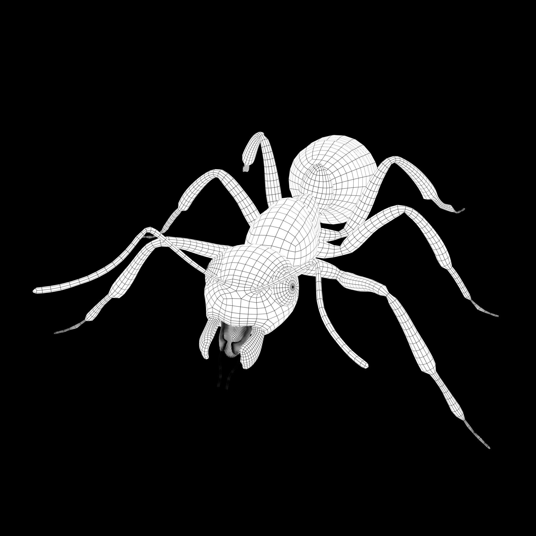 Ant Rig 3D model_6