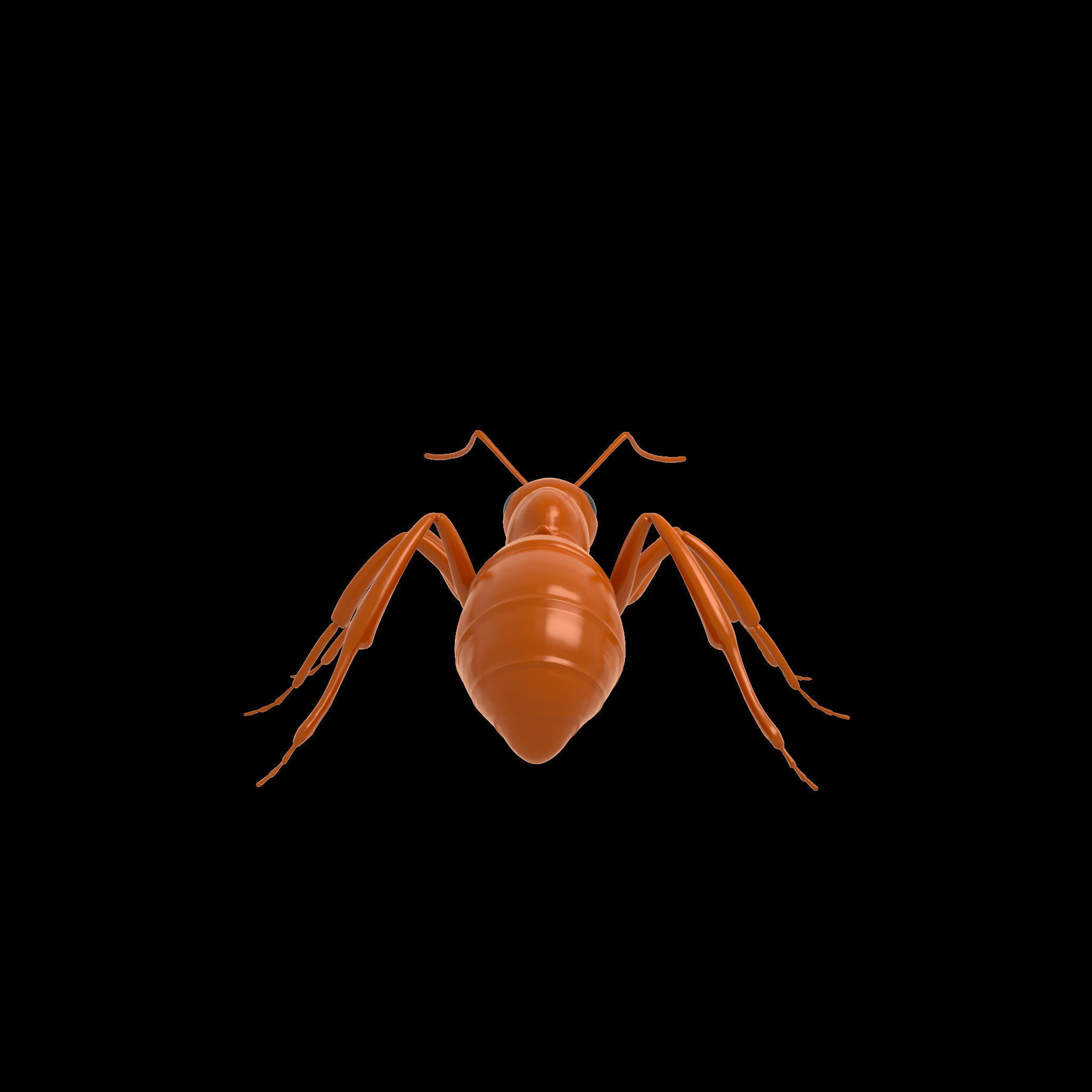 Ant Rig 3D model_4