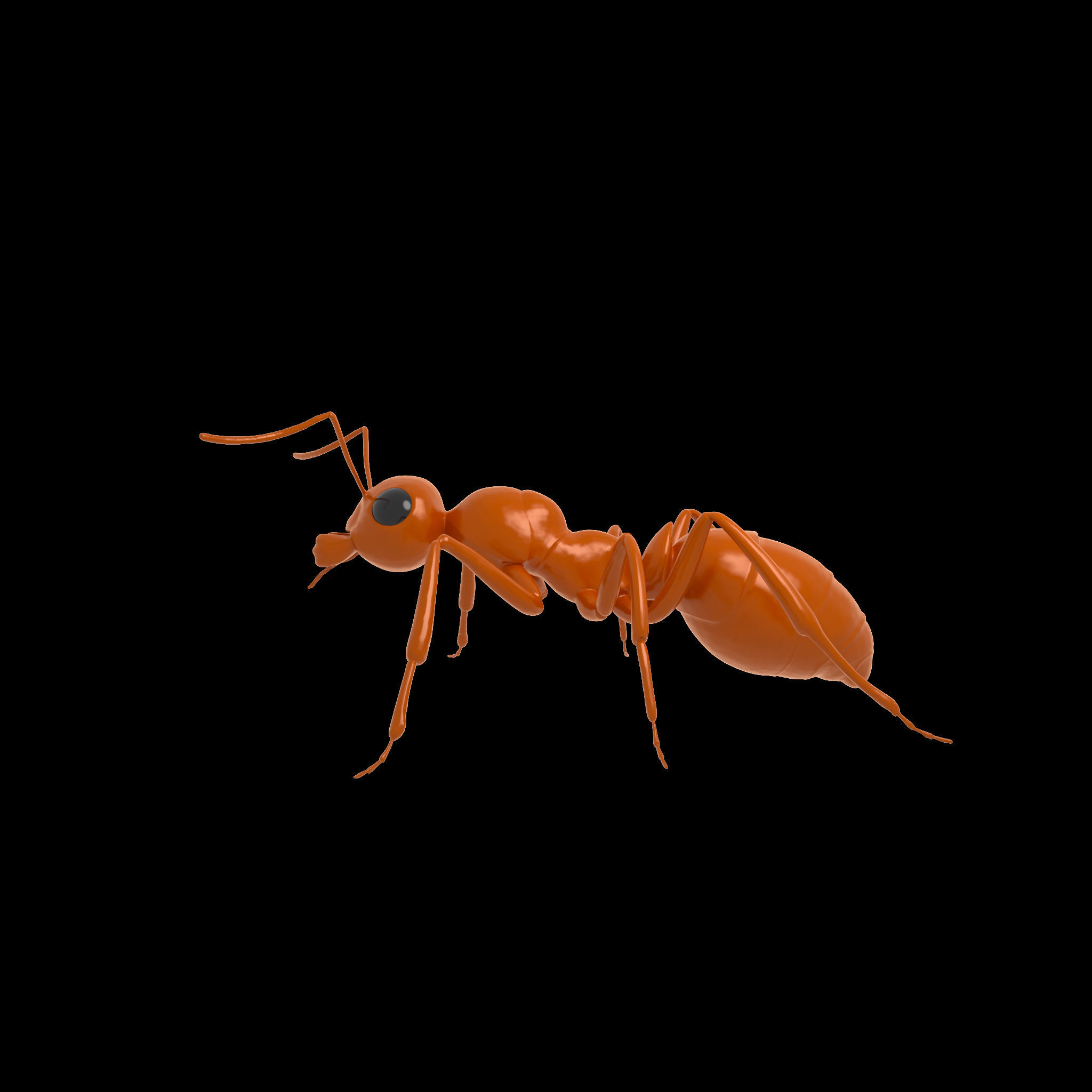 Ant Rig 3D model_2