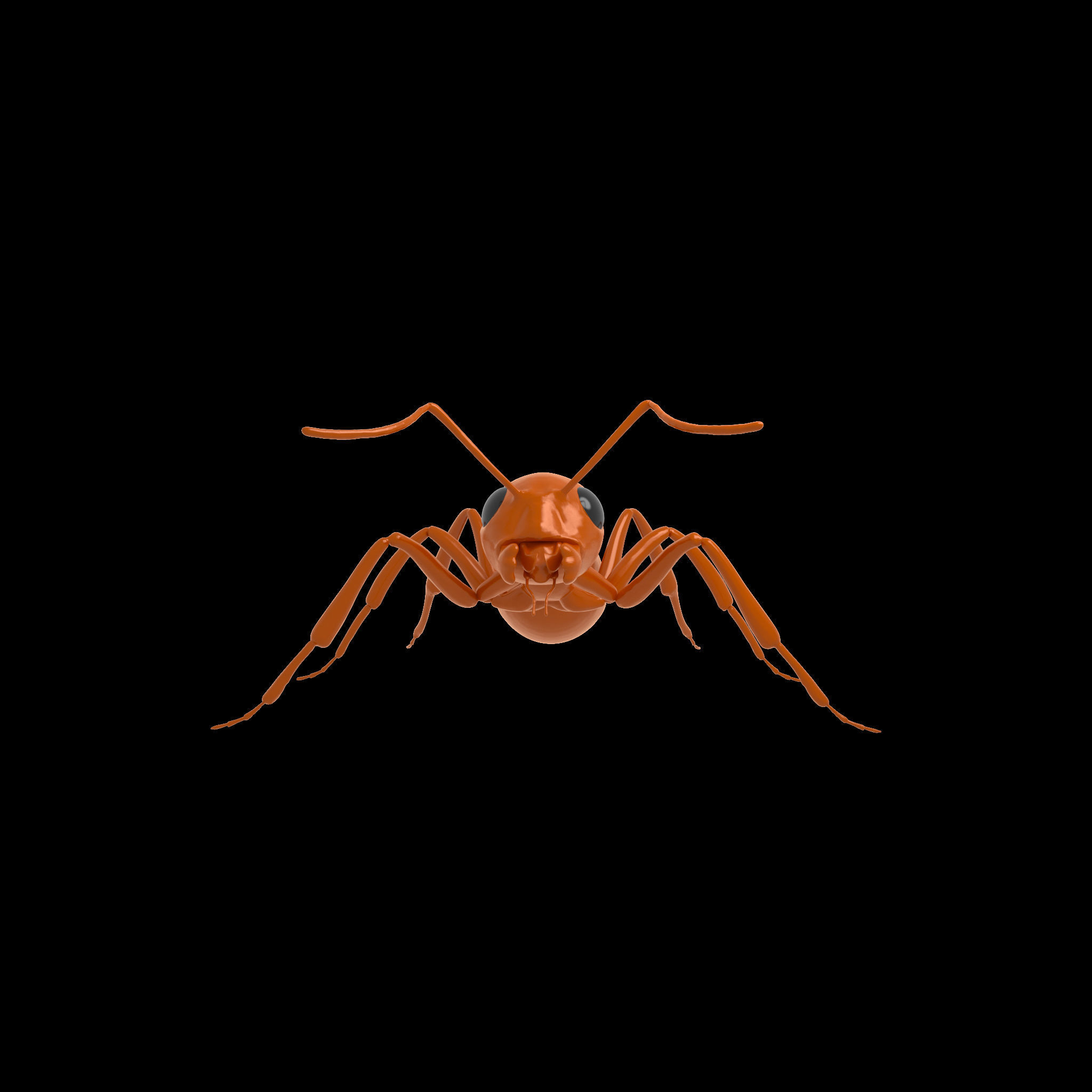 Ant Rig 3D model_3