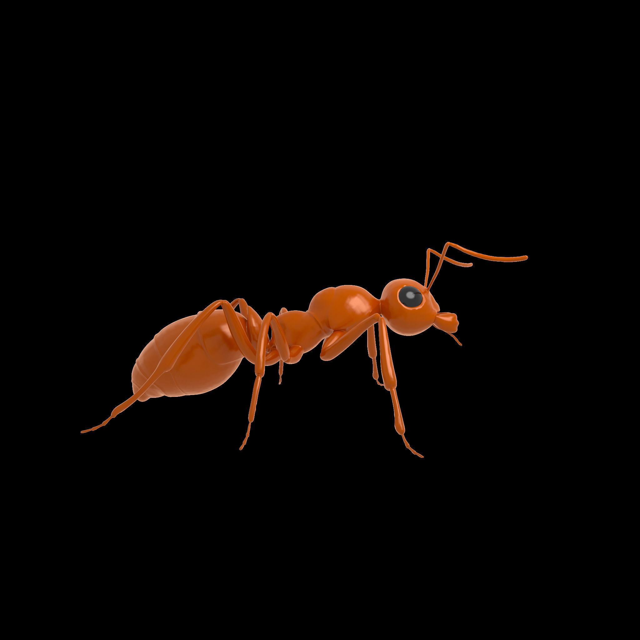 Ant Rig 3D model_5