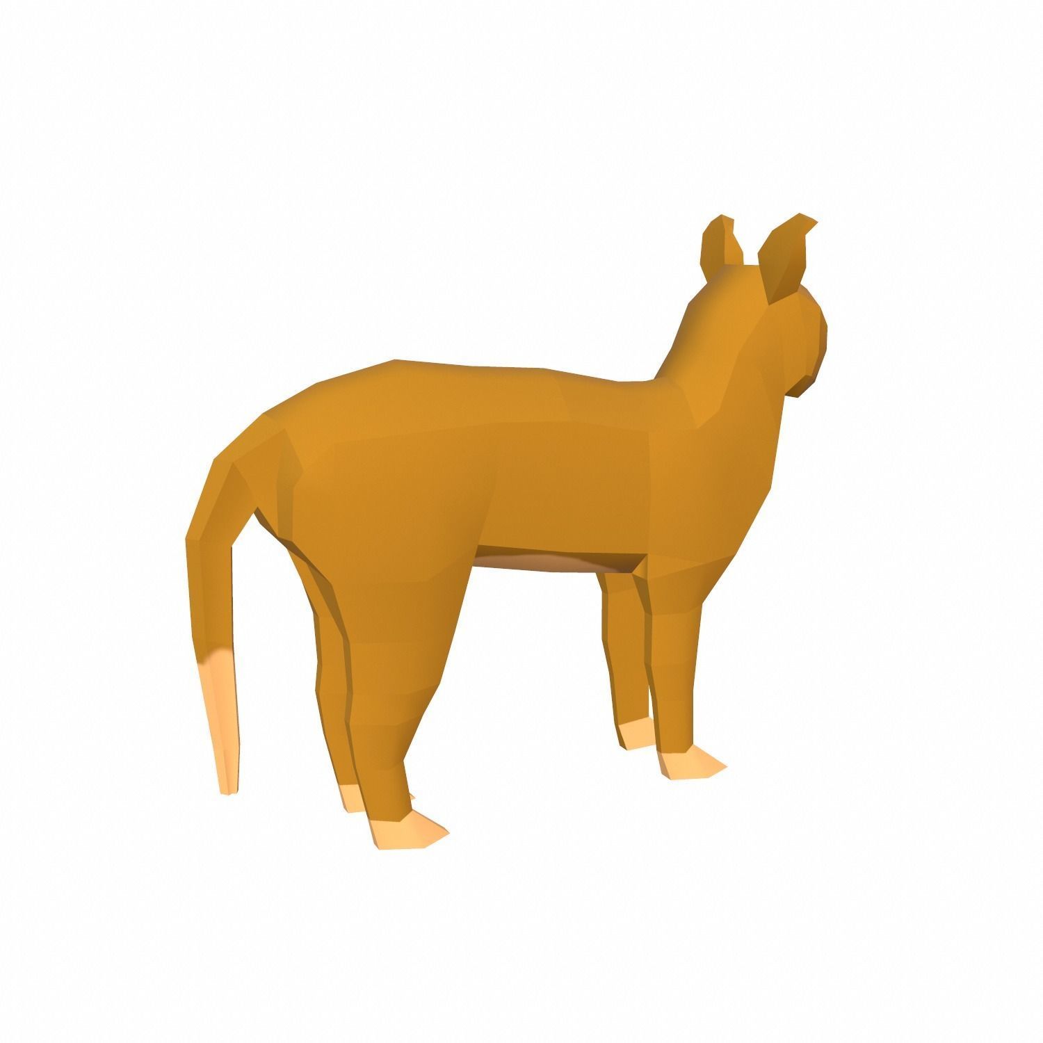 Cat Cartoon Low-poly 3D model_8