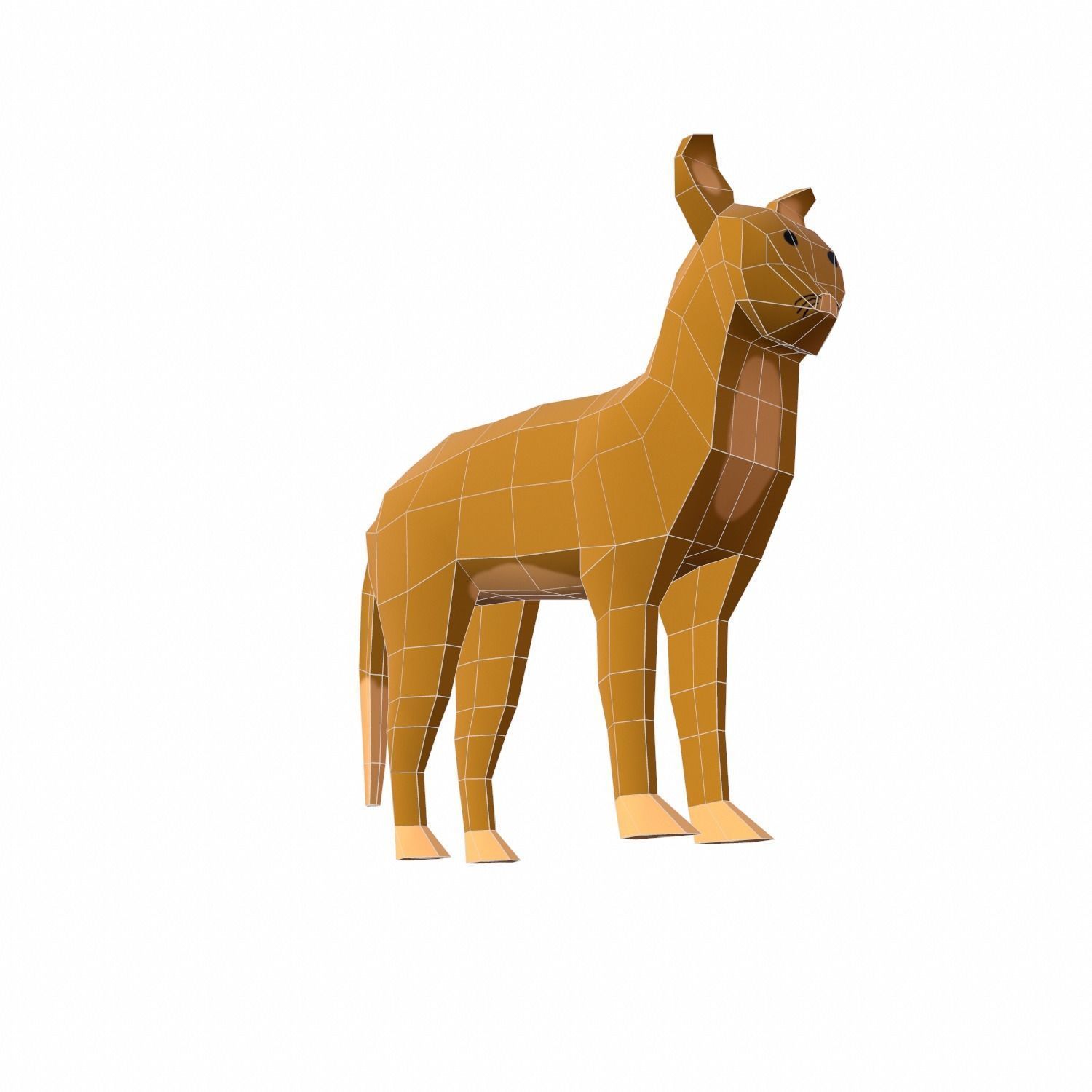 Cat Cartoon Low-poly 3D model_13