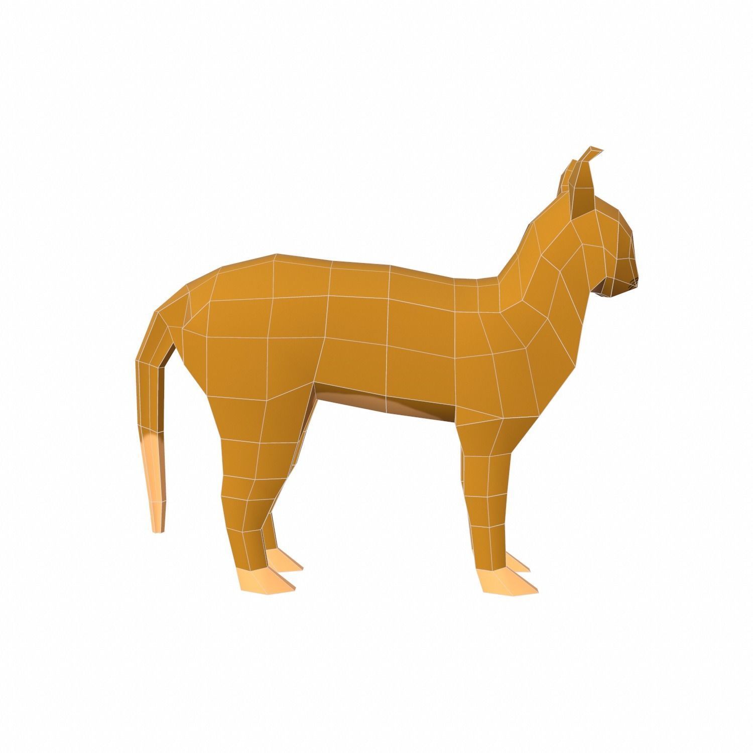 Cat Cartoon Low-poly 3D model_10