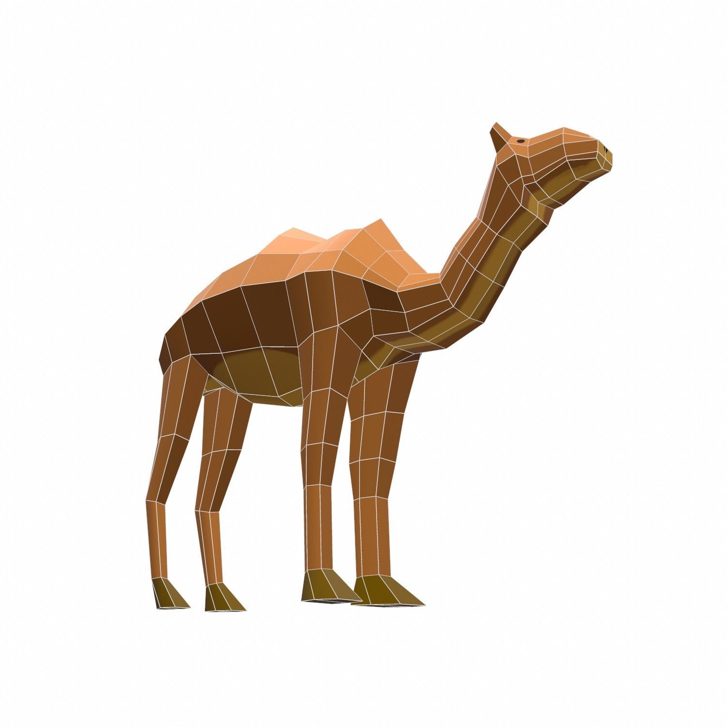 Camel Cartoon Low-poly 3D model_15